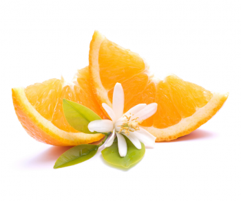 Früchtetee Orangeneis